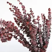 Flor secas para creaciones DIY personalizadas x5